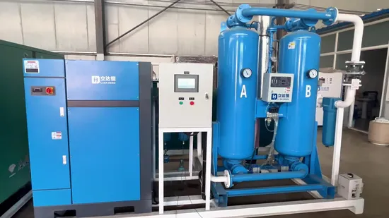 Psa Nitrogen Generator N2 Plant for Chemical Engineering Use From Ldh Gas Factory