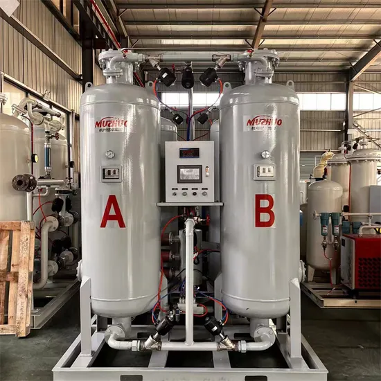 Professional Nitrogen Gas Plant Food Grade 10nm3/H Psa Nitrogen Generators for Welding