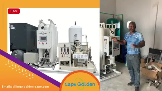 99.99% Psa Oxygen Generator Filling Production Plant China Cost 