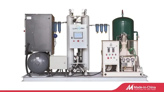 China Supply Psa Technology 20m3 30 M3 Plant Oxygen for Medical Using 