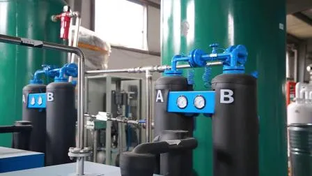 Air Separation Unit Psa Oxygen Plant for Medical Equipment 