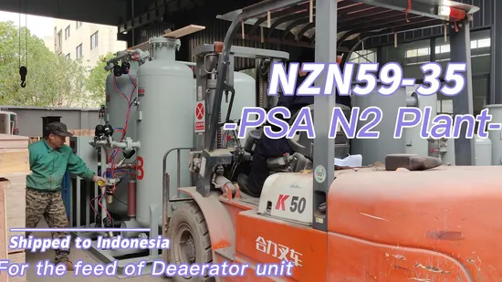 Nuzhuo Psa N2 Gas Plant Psa Nitrogen Generator Filling Cylinders 100bar 