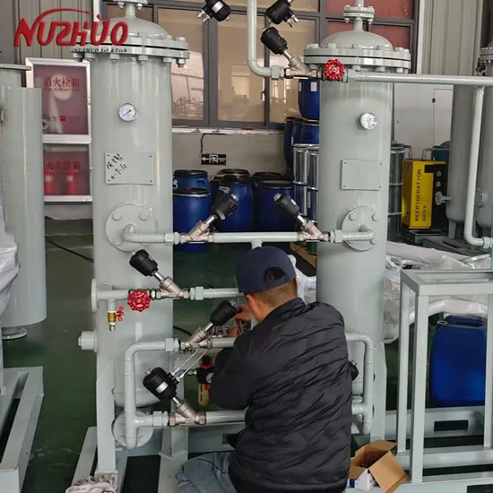 Psa Nitrogen Generator Reliable Quality Manufactured Professional Nitrogen Gas Plant Company 