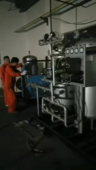 2m3 99.9% Psa Psa Nitrogen Plant Compressed Nitrogen Oxygen 
