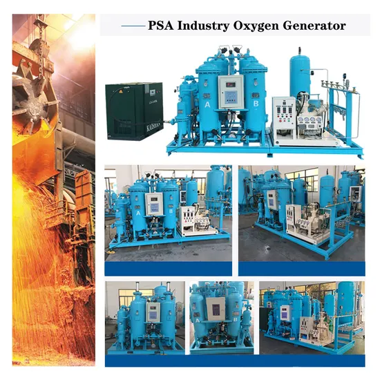 Air Separation Plant Medical O2 Oxigen Gas Psa Oxygen Generator Equipment