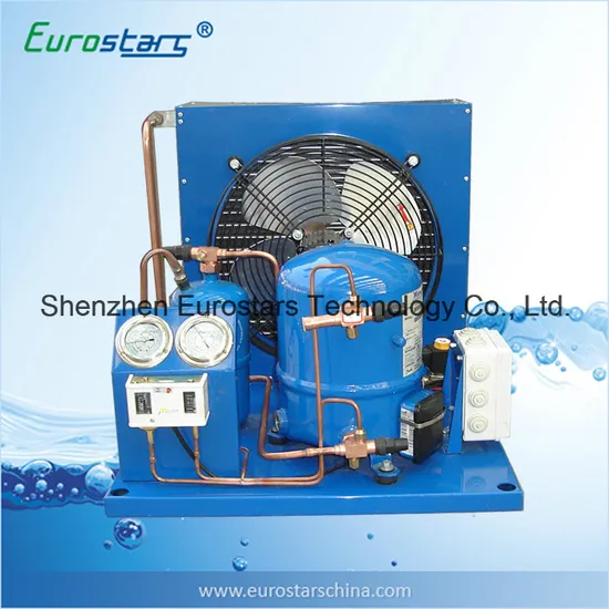 Fast Cold Low Temperature Air Cooled Condensing Equipment 