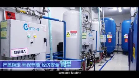 Psa Oxygen Cylinders Filling Gas Plant with Best Price 