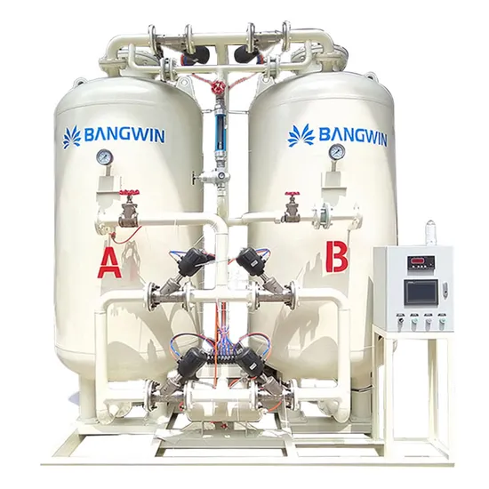 Bw New Design Industrial Use High Quality Psa Nitrogen Generating Plant 
